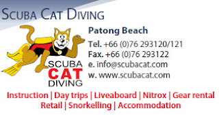 scuba cat diving