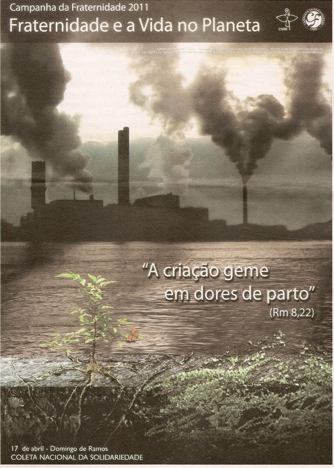 Campanha Da Fraternidade