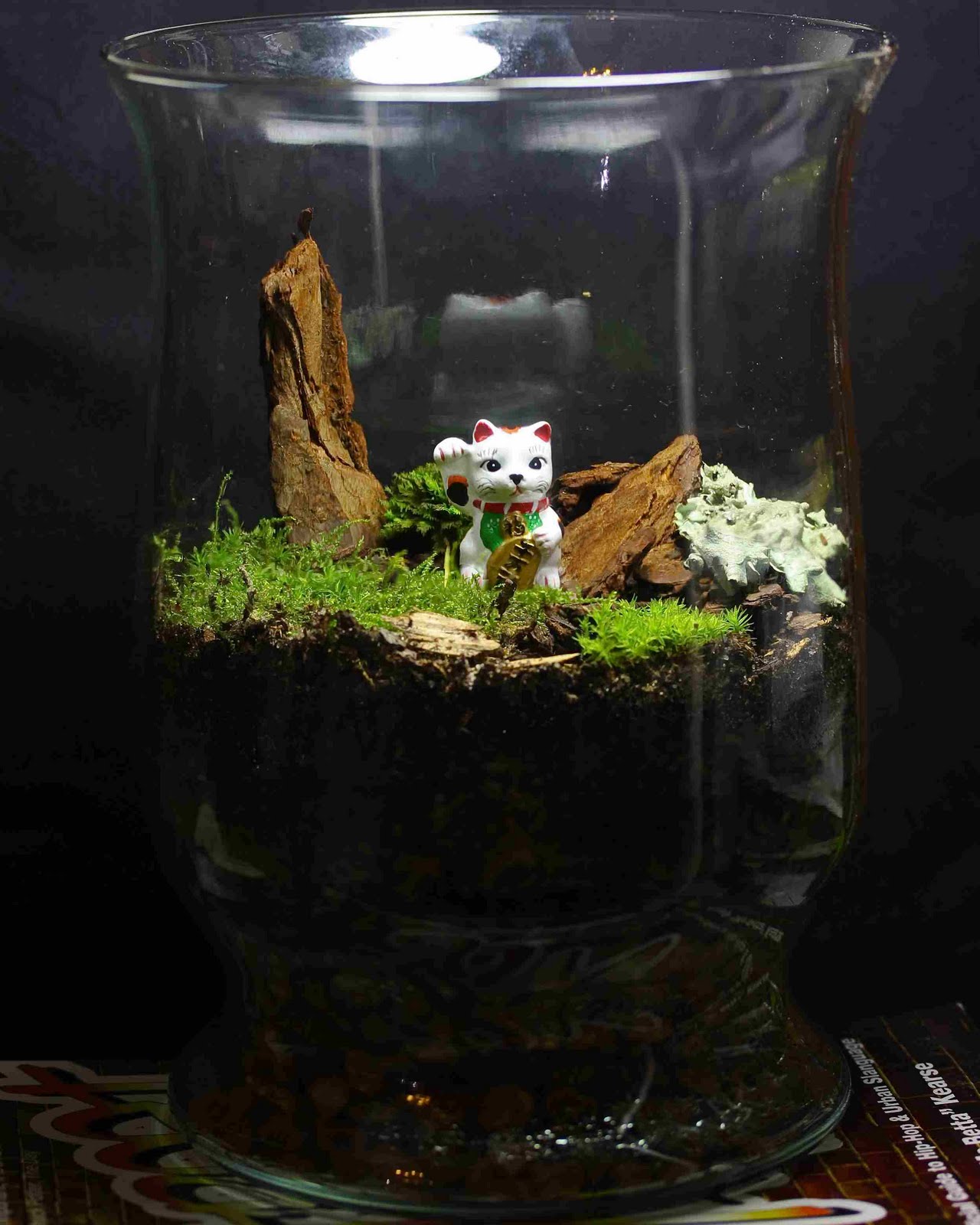 This Side of Insanity Lucky Cat Moss Terrarium