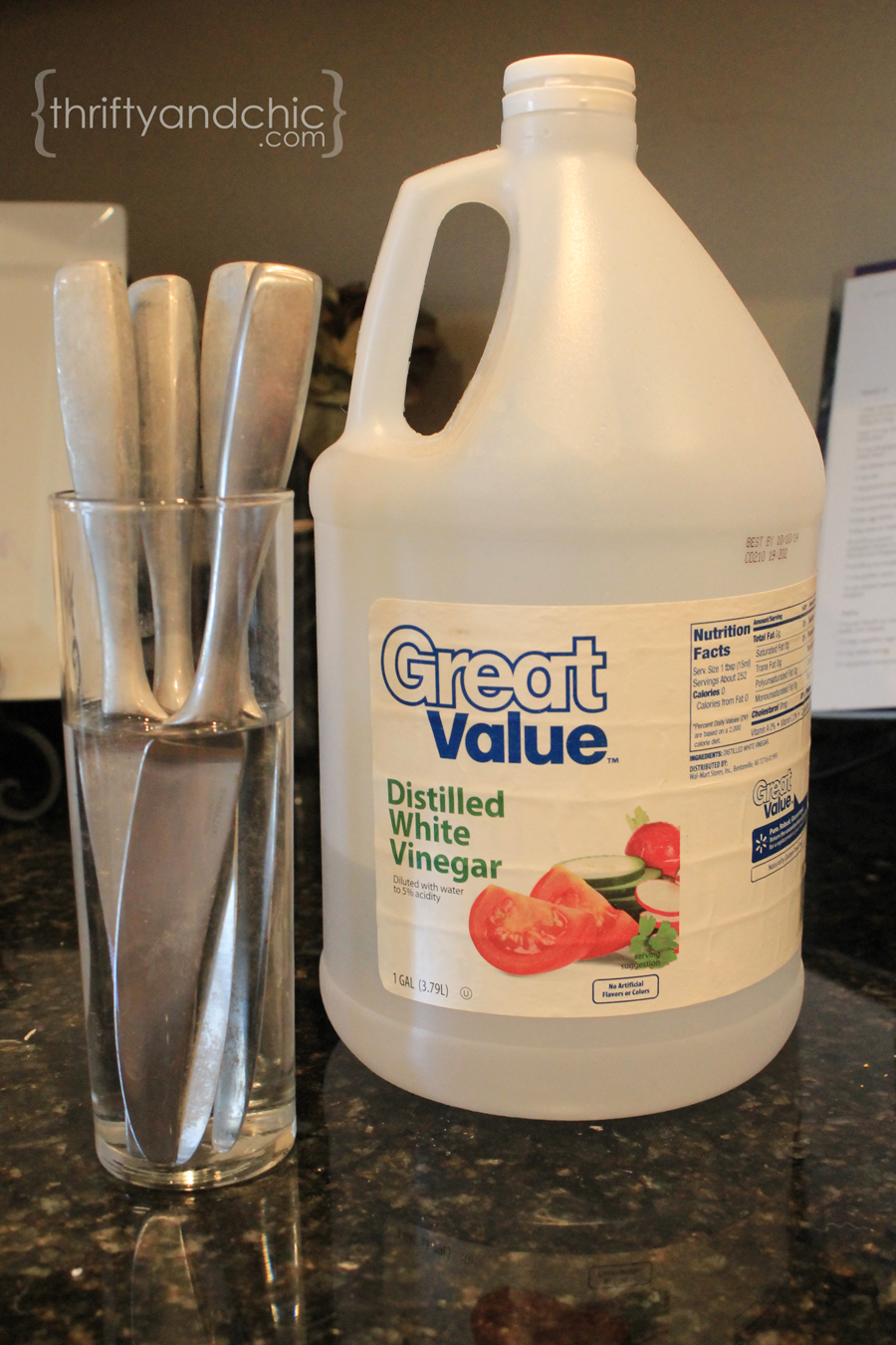 Thrifty and Chic DIY Projects and Home Decor