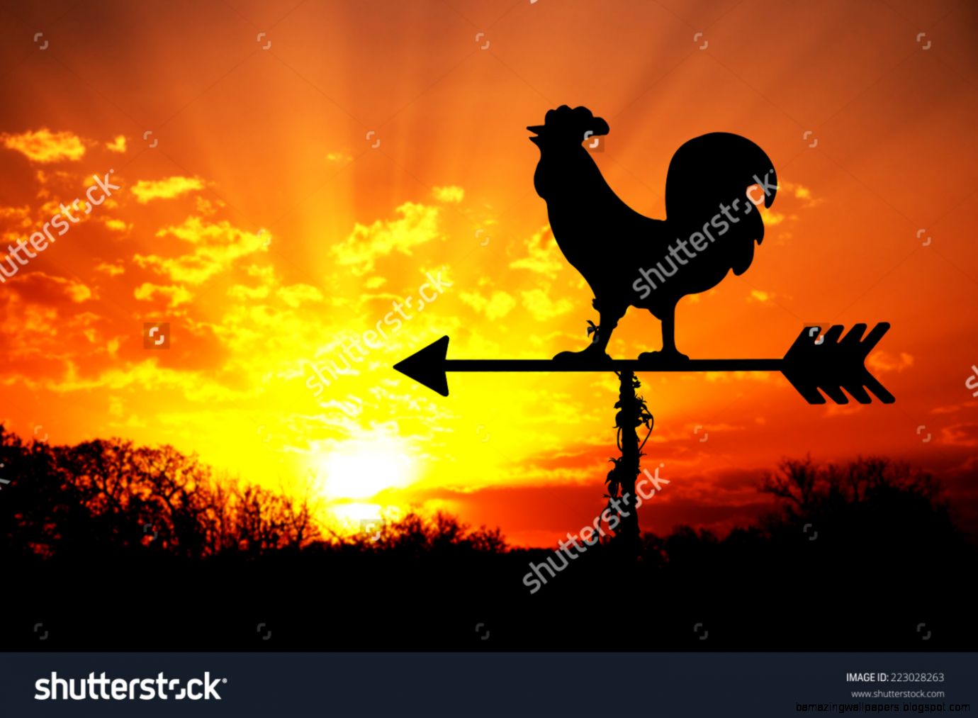 Rooster Weather Vane Against Sunrise With Bright Colors In Clouds Rooster Weather Vane Against Sunrise With Bright Colors In Clouds