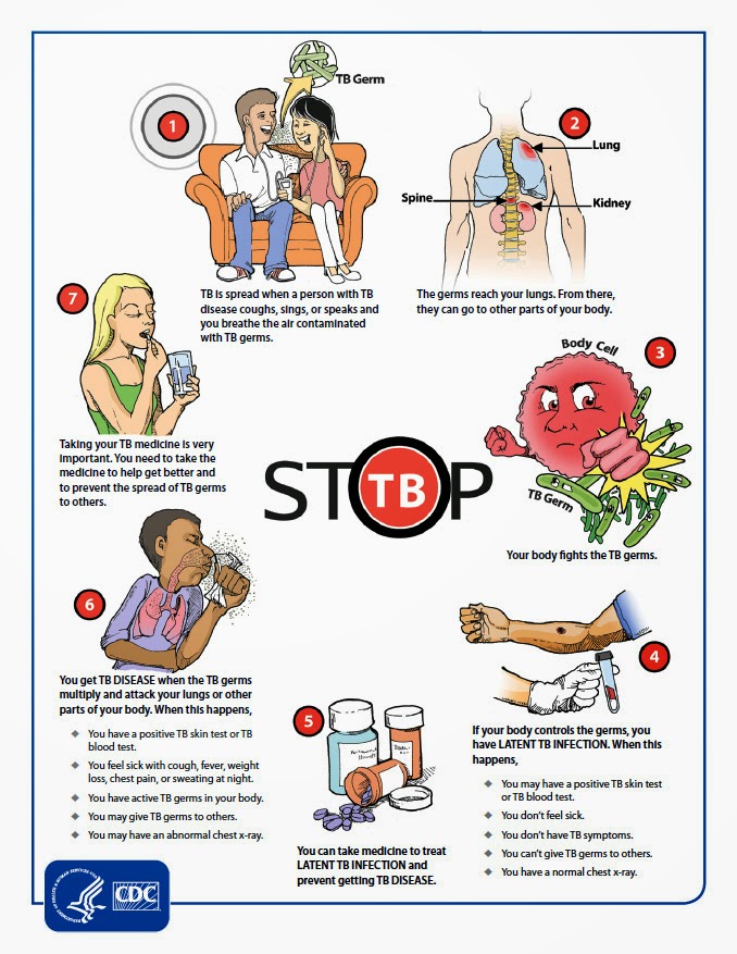 55 Infectious diseases and Antibiotics Biology Notes for A level