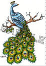Peacock digital stamp