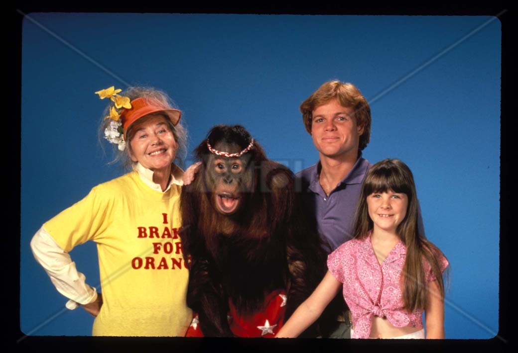 da Roxana Banana (Going Bananas) Ainda sou do tempo