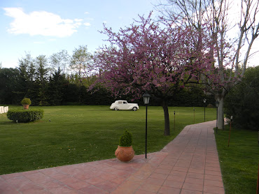 Uno de los múltiples espacios de los que consta el jardín de VILLA BUGATTI