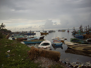 Fishing boats anchored at Jaffna Fish Port.