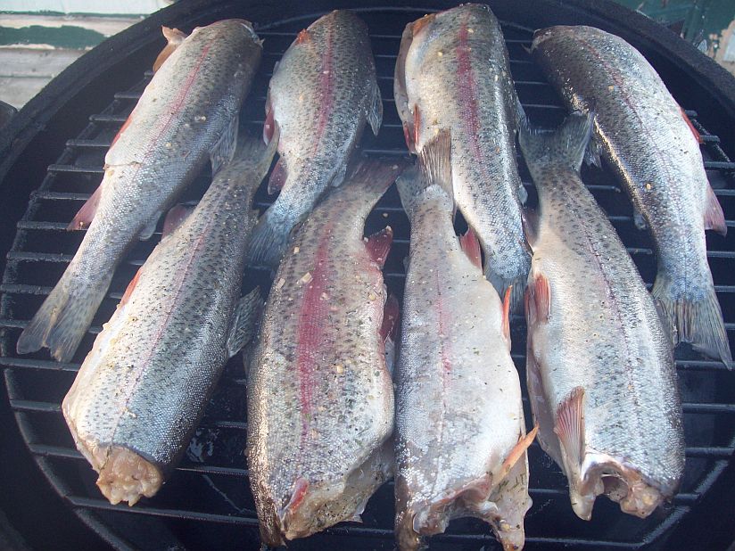 Whyldfire BarBQue Apple Wood Smoked Rainbow Trout