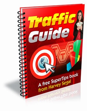Free Traffic Guide
