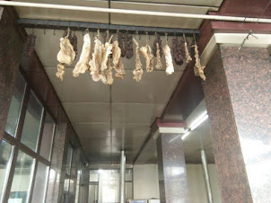 Superstition or Tradition:- "Horse Meat" hung at main entrance of "National Food" in Tashkent.