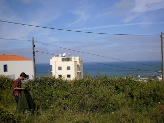 ericeira, beach, sleep