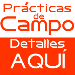 Prácticas de campo