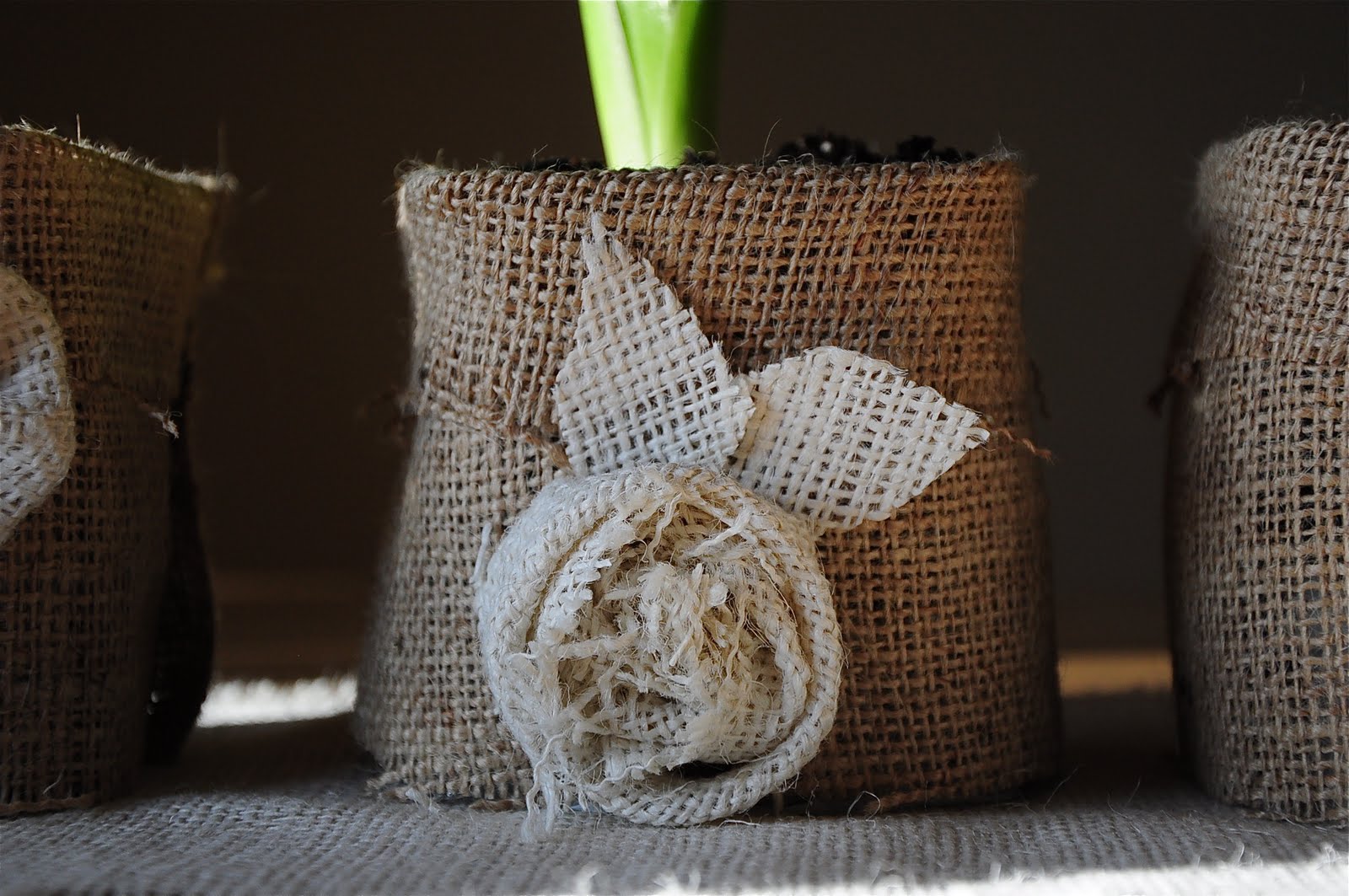 I live in someday Spring burlap flower pot