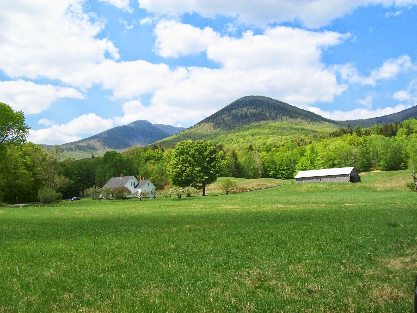 AMC Conditions Discover Ferncroft!