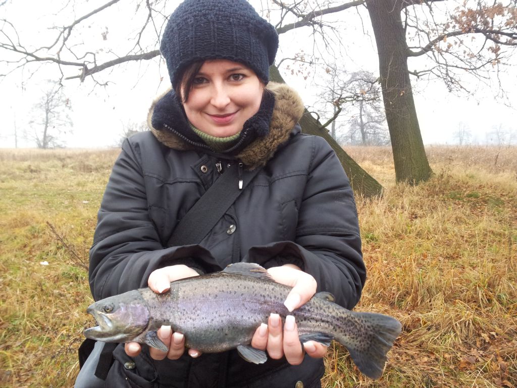 Fishing in Poland - spinning, casting and flyfishing: Nice Rainbow trout