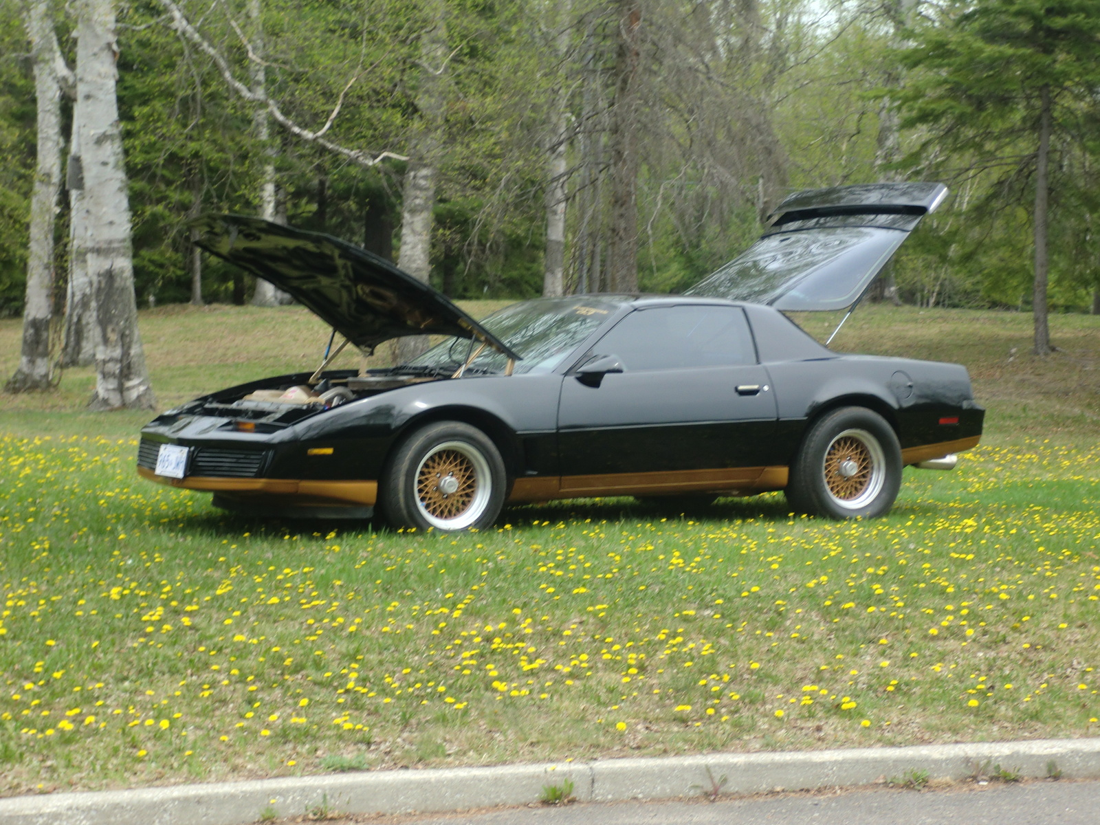 2024 Pontiac Trans Am Price Carey Correna