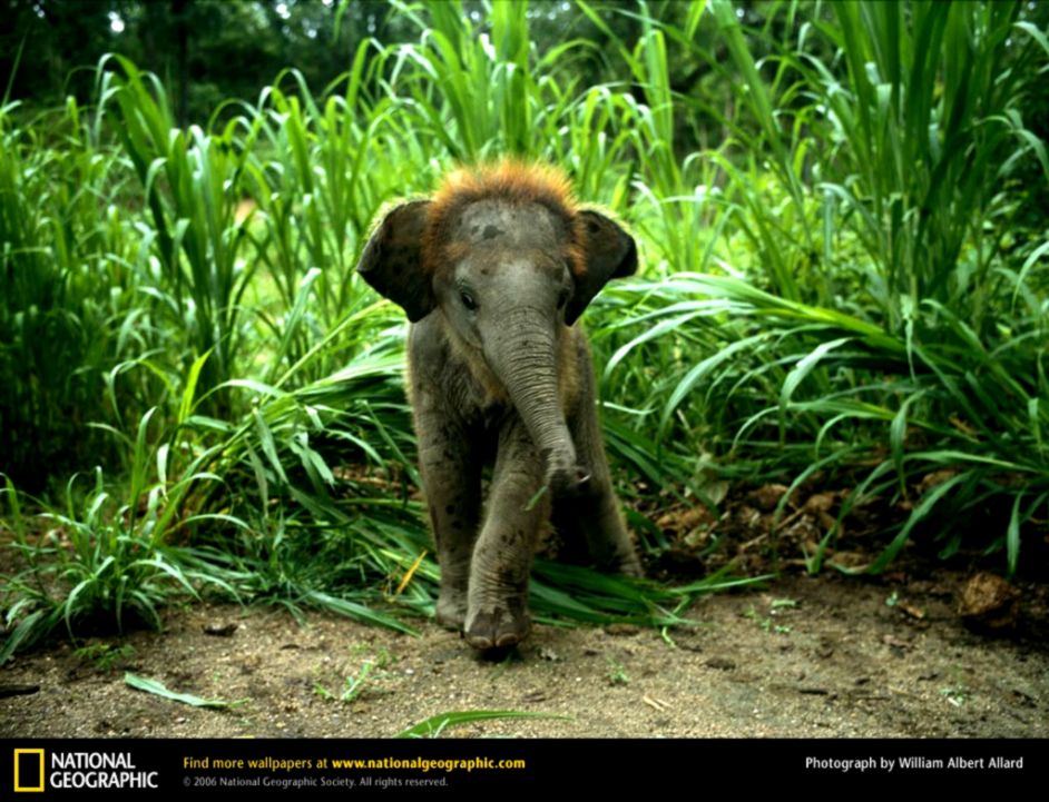 2271024x768 wallpaper cb 2271024x768 wallpaper cb