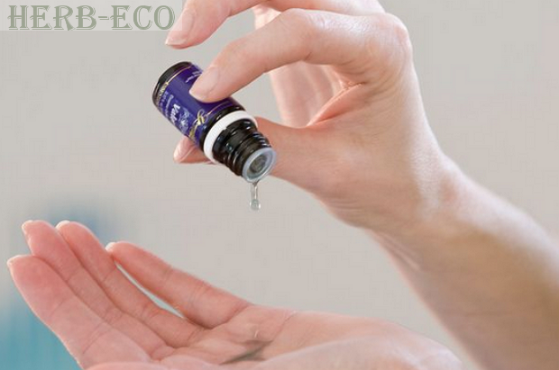 Можжевельник - польза и рецепты Формулы Можжевельника от iHerb