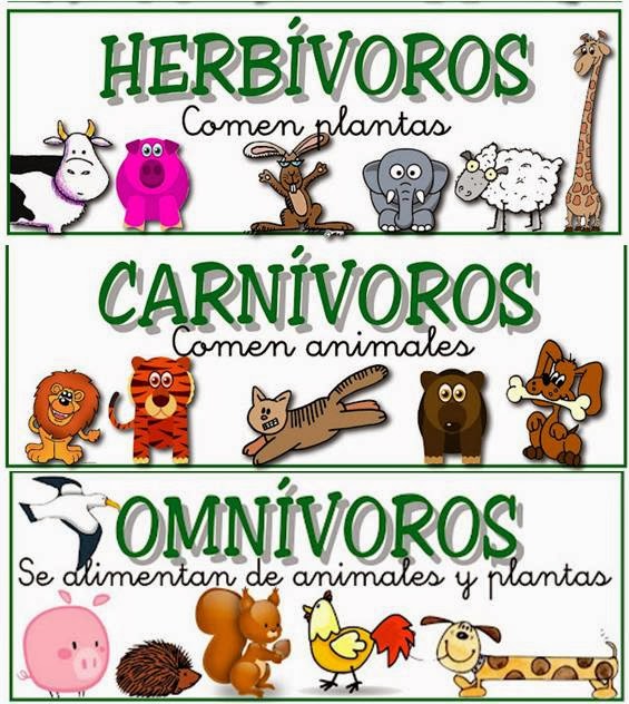 Educación Primaria en San Luis Potosí ¡¡Bienvenidos!!