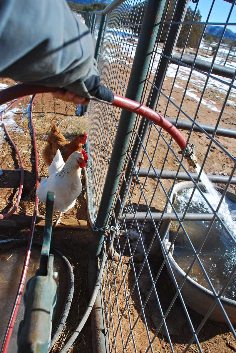 The 7MSN Ranch The art and science of watering livestock in winter