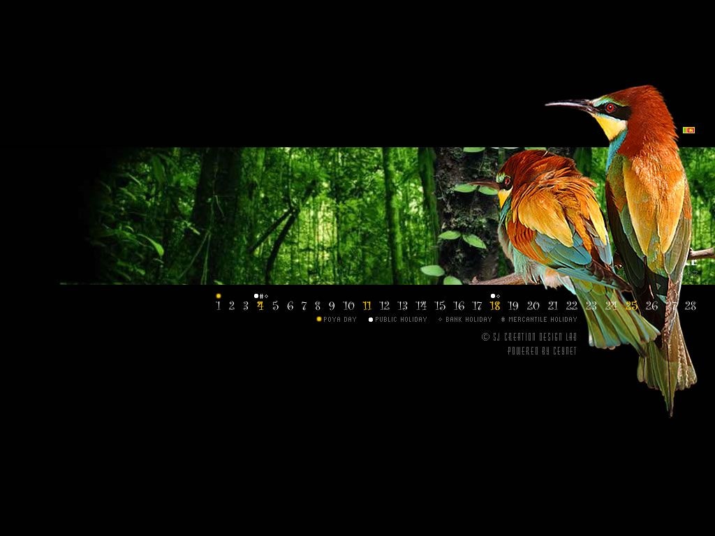 Free Wallpapers: Love Bird Wallpaper, Wallpaper Love Bird, Love Bird Wallpaper for Desktop
