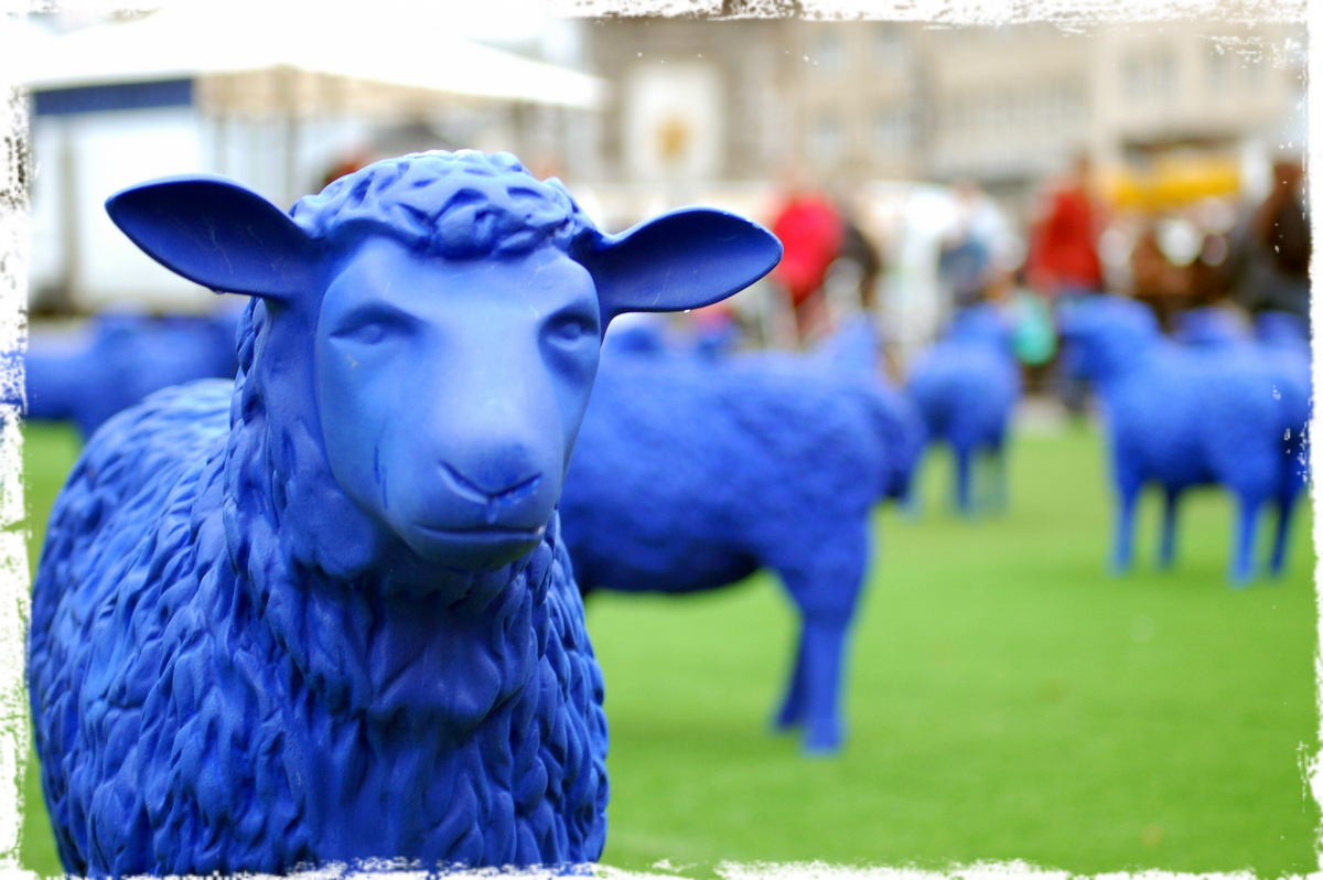 The Kitchen Lioness Blue Sheep Blaue Schafe