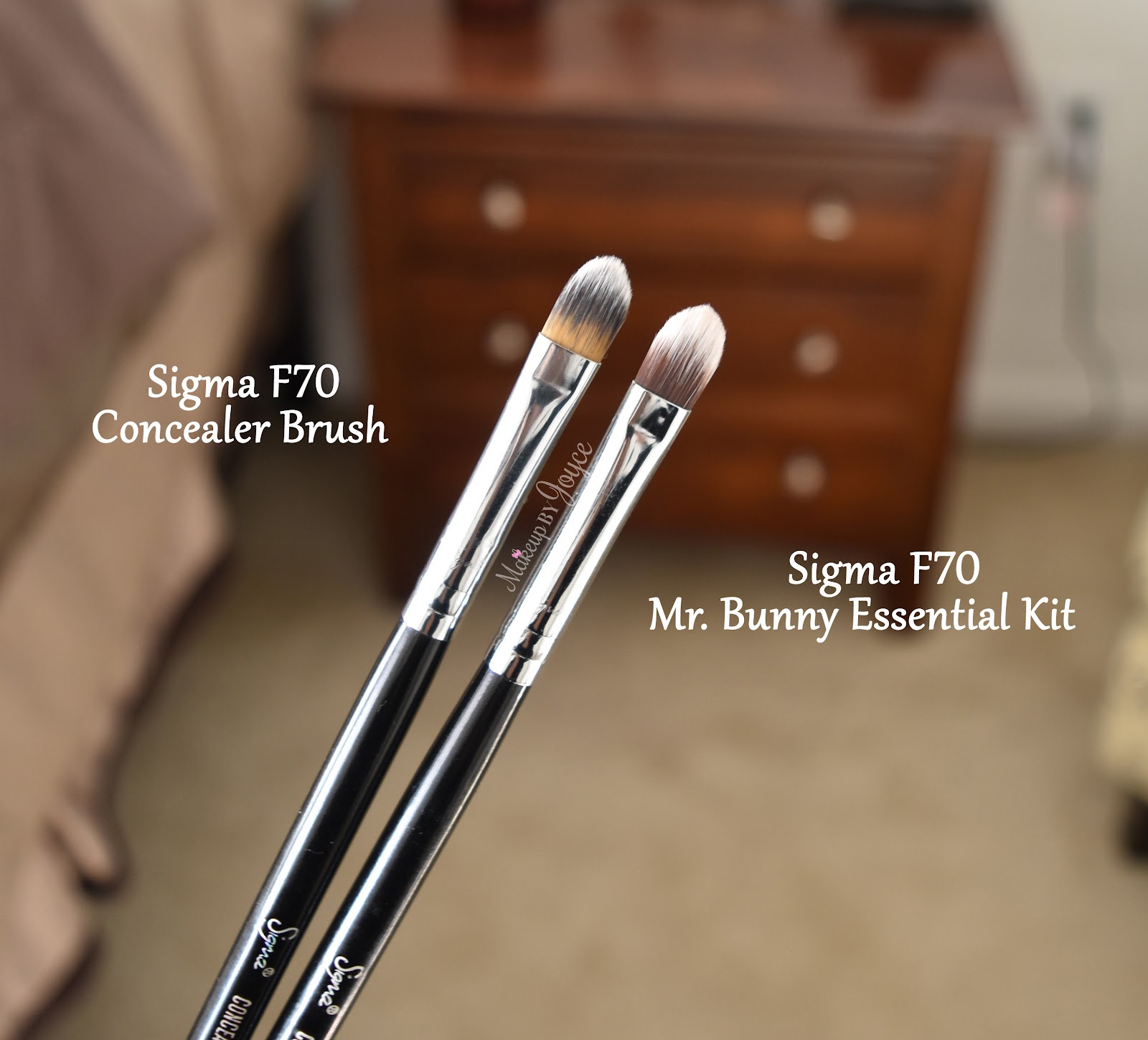 MakeupByJoyce ** ! Review + Swatches Sigma Synthetic Eye Brushes for