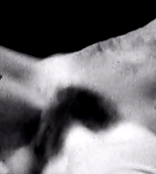 "Invasion Of The Physique Snatchers" Babes 200 veronica+cartwright+(1)