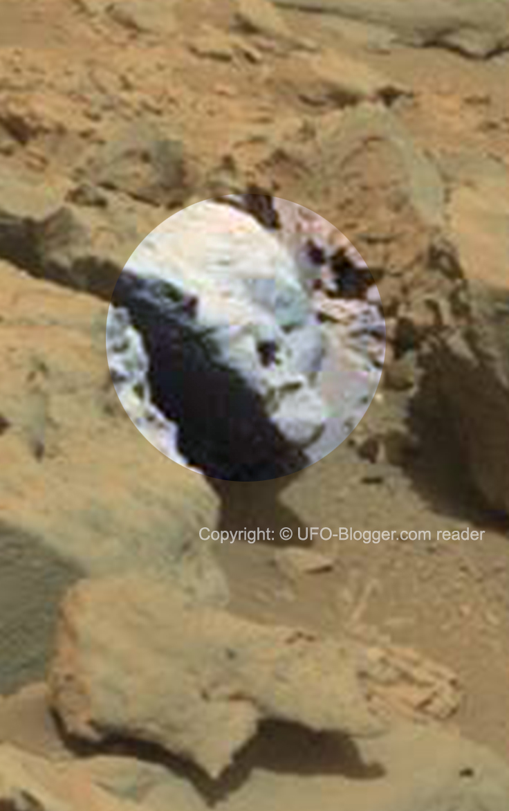 Pin on Misterios de la humanidad