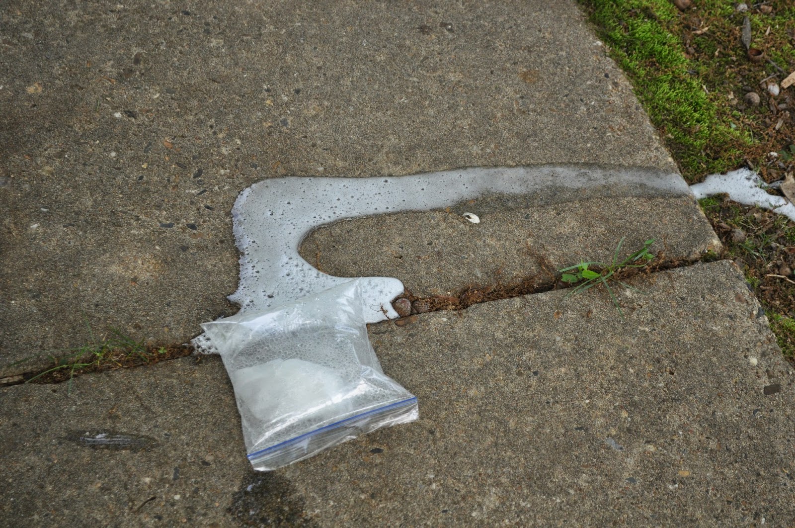 Healthy Momma Talk Bag Burst Science Experiment