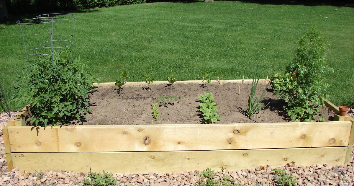 Chasing Chalk: Home Garden