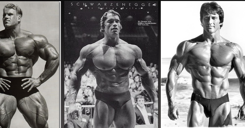 Fitness Allegator: Metabolism And Muscle Building In Different Body Types