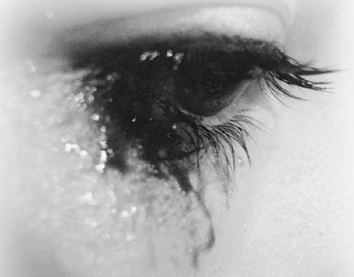 tumblr_lnljq9Qfir1qde2kqo1_500.jpg