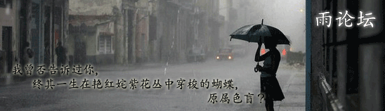 雨论坛