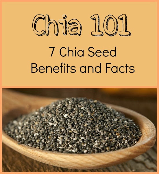 Jinxy Knows Best 7 Chia Seed Benefits and Facts A Superfood Primer