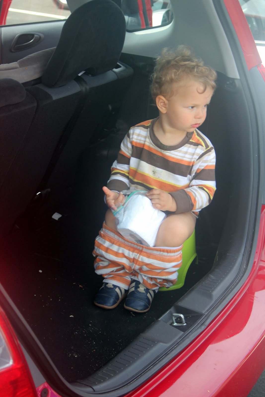 Nicolle's Originals Toddler Pottying/ EC on the Go