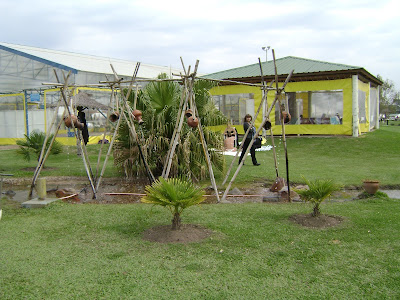 imagen termas de federacion