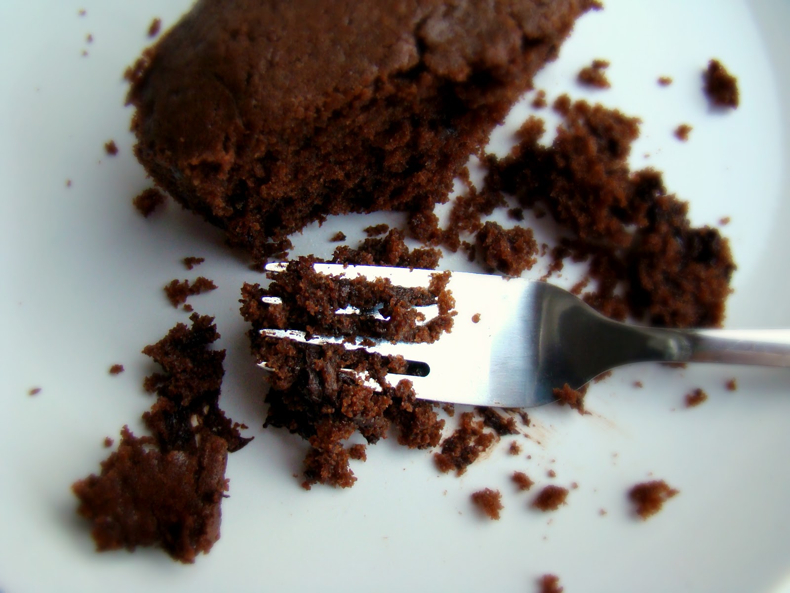 Double chocolate snacking cake