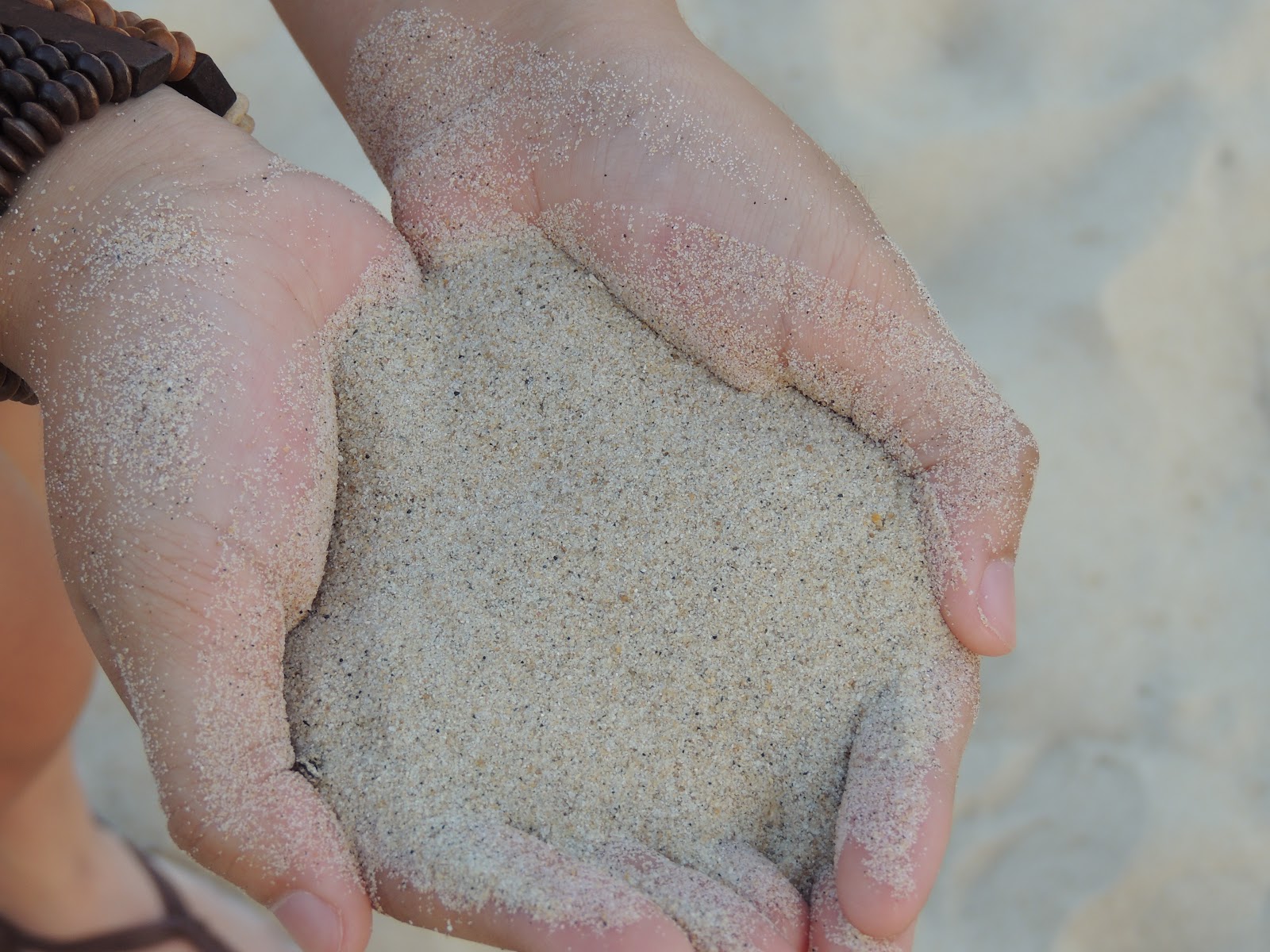 Geography Beach Nourishment