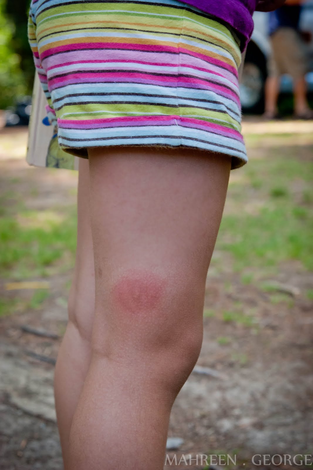 Veni, Vidi, Blogi I Came, I Saw, I Blogged Summer Snapshots Camping