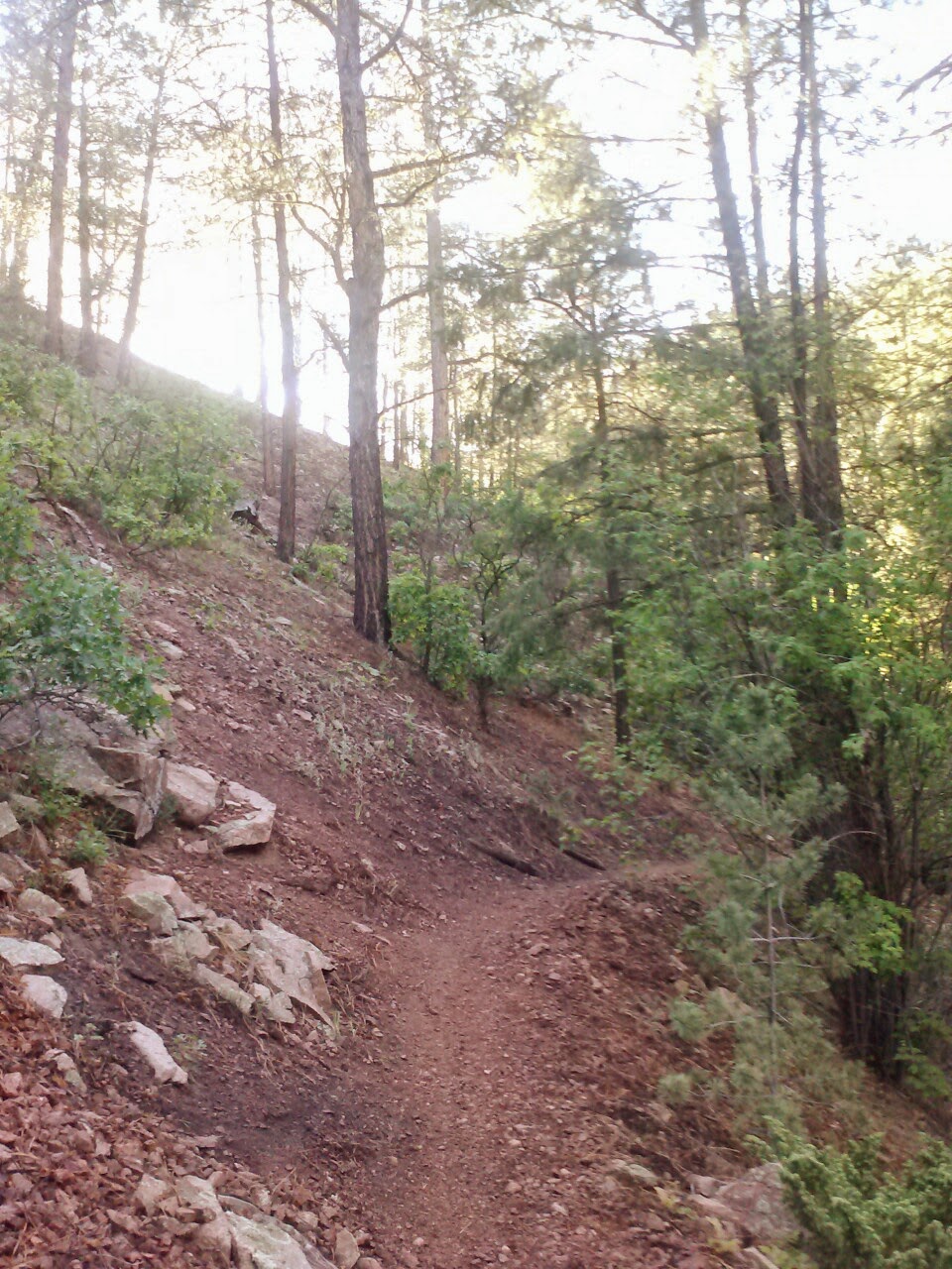 High Desert Dirt Chamisa Trail Santa Fe, NM