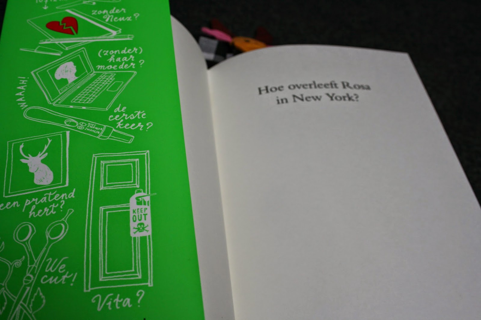 Fourteens Book review Hoe overleeft Rosa in New York?