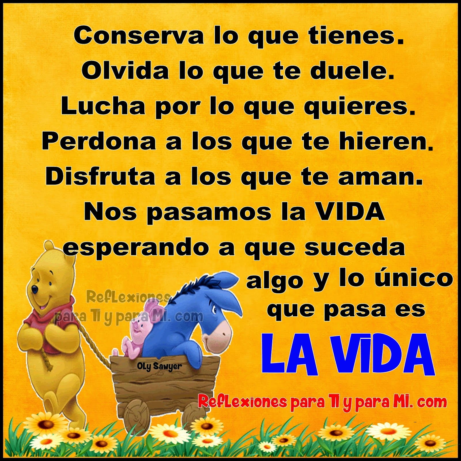 Ver las imágenes de origen