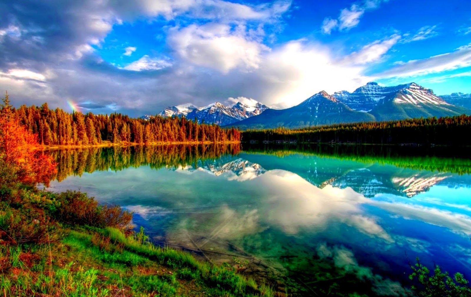 Amazing Nature Scenery Amazing Nature Scenery