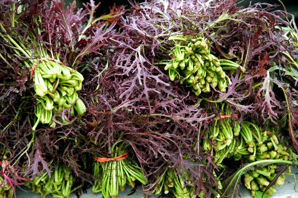 Red Mustard Greens