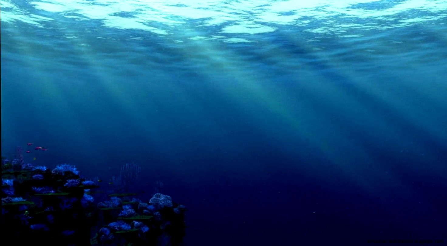 Finding Nemo images Finding Nemo Wallpaper HD wallpaper and Finding Nemo images Finding Nemo Wallpaper HD wallpaper and