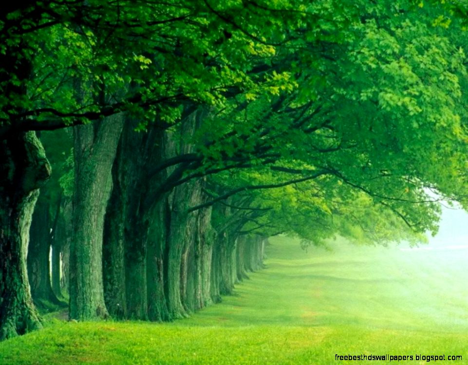 Unfinished Glog 1 Publish with Glogster Unfinished Glog 1 Publish with Glogster