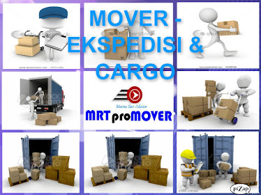 MOVING SERVICE - PACKING SERVICE - STORAGE SERVICE - RELOCATION SERVICE - HANDDLING - FORDWARDING