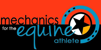 Mechanics for the Equine Athlete