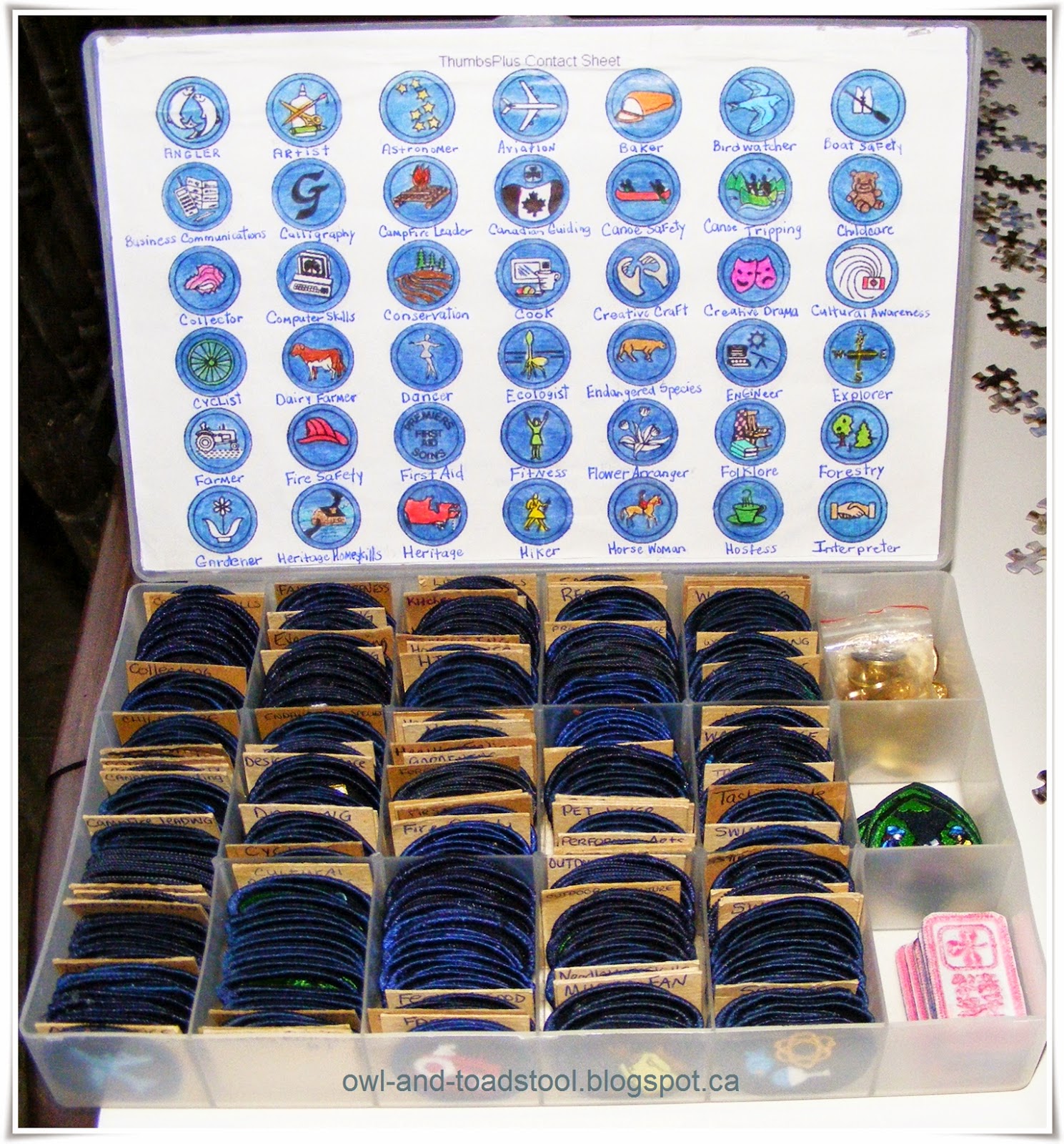 Owl & Toadstool Girl Guides Badge Organization