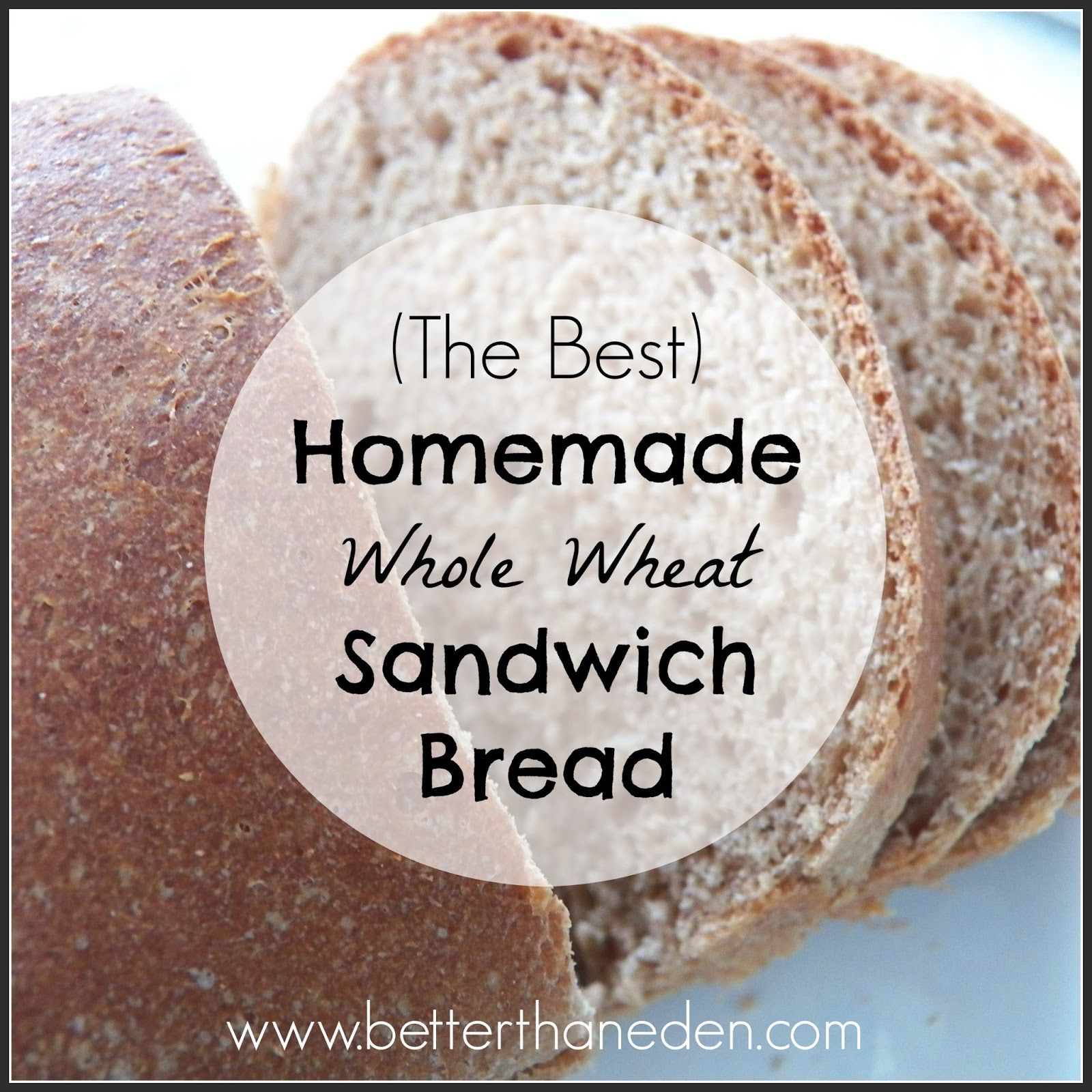 (The Best) Homemade Whole Wheat Sandwich Bread Recipe Mary Haseltine